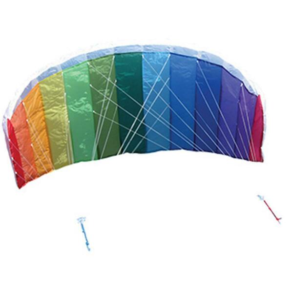 In The Breeze 62 in. Sport Air Foil Kite 786929